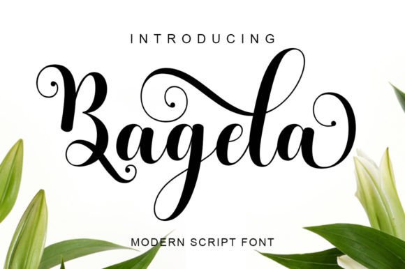 Bagela: A Designer's Verdict on This Expressive Script