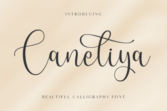 Caneliya: Elegant Script Font for Business