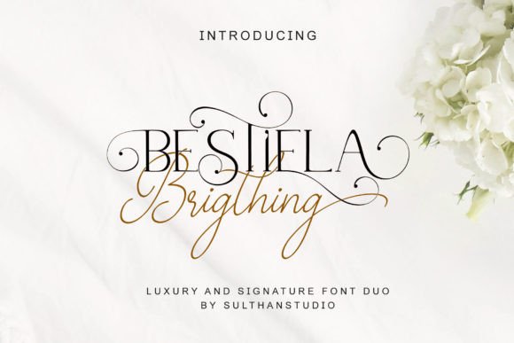 How Bestiela Brigthing Gave My Small Business a Polished Brand Voice