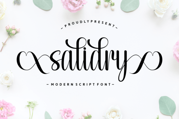 Salidry: A Elegant Script Font for Web Design